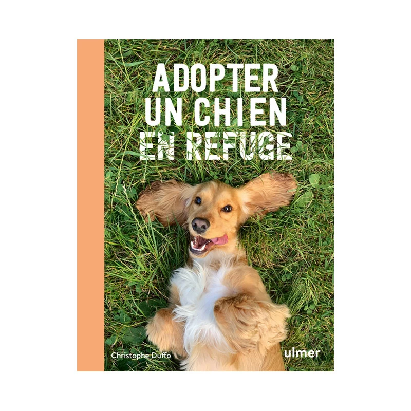 Adopter Un Chien En Refuge – Christophe Duffo – 144 Pages 3 Adopter Un Chien En Refuge – Christophe Duffo – 144 Pages