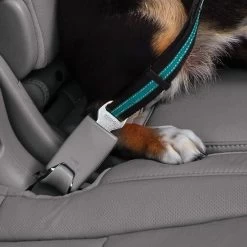 Attache Directe Pour Ceinture De Sécurité (Direct To SeatBelt Tether) -Repas Magsin attache directe pour ceinture de securite direct to seatbelt tether 3