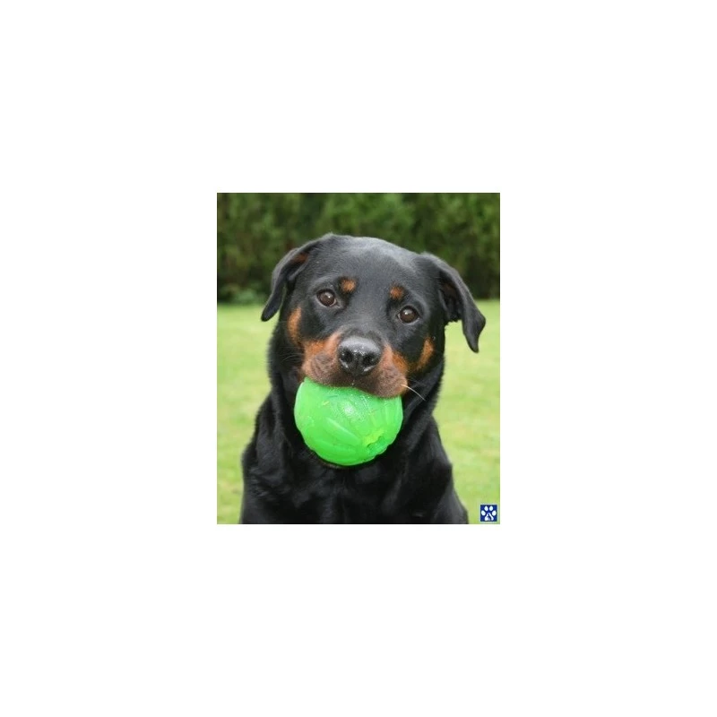 Balle Fluo (3 Tailles) 4 Balle Fluo (3 Tailles) – Image 2