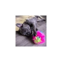 Balle Peluche Arc-en-Ciel (goDog Furballz Rainbow) 10 Balle Peluche Arc-en-Ciel (goDog Furballz Rainbow) -Repas Magsin balle peluche arc en ciel godog furballz rainbow 3