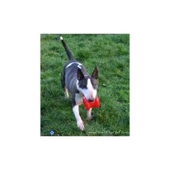 Borne Incendie (Fire Plug) 9 Borne Incendie (Fire Plug) -Repas Magsin borne incendie 3