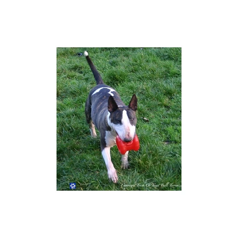 Borne Incendie (Fire Plug) 6 Borne Incendie (Fire Plug) – Image 4