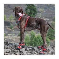 Chaussures Anti-brûlures Blaze Cross Pour Chiens (4 Tailles) -Repas Magsin chaussures anti brulures blaze cross pour chiens 4 tailles 1 5