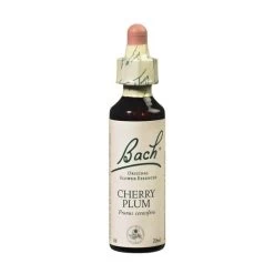 Cherry Plum (Prunier Myrobolan)