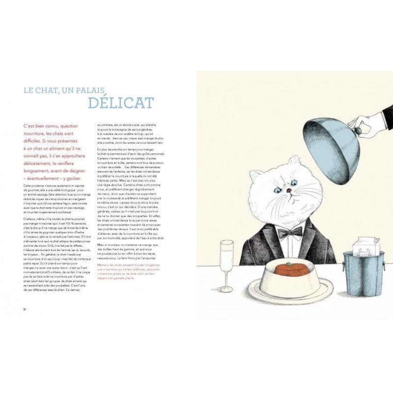 Chiens & Chats – Sous La Loupe Des Scientifiques – Livre Pour Enfants Dès 10 Ans 5 Chiens & Chats – Sous La Loupe Des Scientifiques – Livre Pour Enfants Dès 10 Ans – Image 3