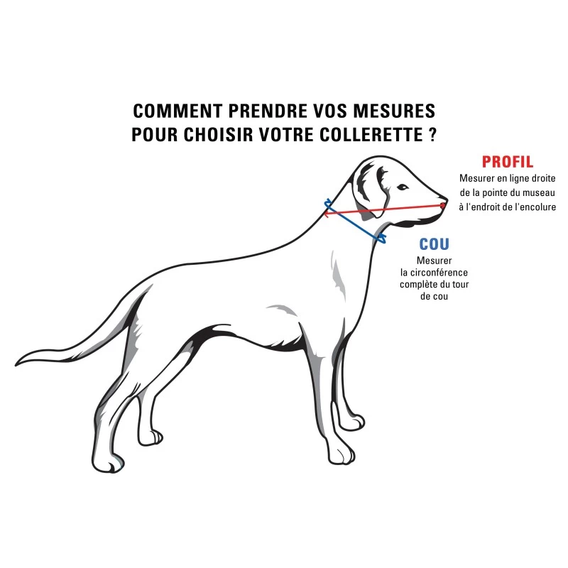 Collerette Souple Pour Chiens Et Chats (Comfy Cone) 6 Collerette Souple Pour Chiens Et Chats (Comfy Cone) – Image 4