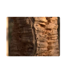 Coussin Linen Clébard Concept Coloris Medium – Ergonomique, écologique Et Assainissant (2 Tailles - 1 Coloris) 12 Coussin Linen Clébard Concept Coloris Medium – Ergonomique, écologique Et Assainissant (2 Tailles - 1 Coloris) -Repas Magsin coussin linen clebard concept ergonomique ecologique et assainissant 3 tailles4 coloris 4