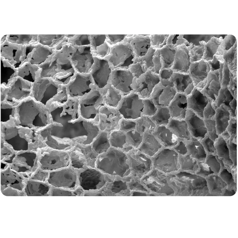 Coussin Linen Clébard Concept Coloris Medium – Ergonomique, écologique Et Assainissant (2 Tailles - 1 Coloris) 8 Coussin Linen Clébard Concept Coloris Medium – Ergonomique, écologique Et Assainissant (2 Tailles - 1 Coloris) – Image 6