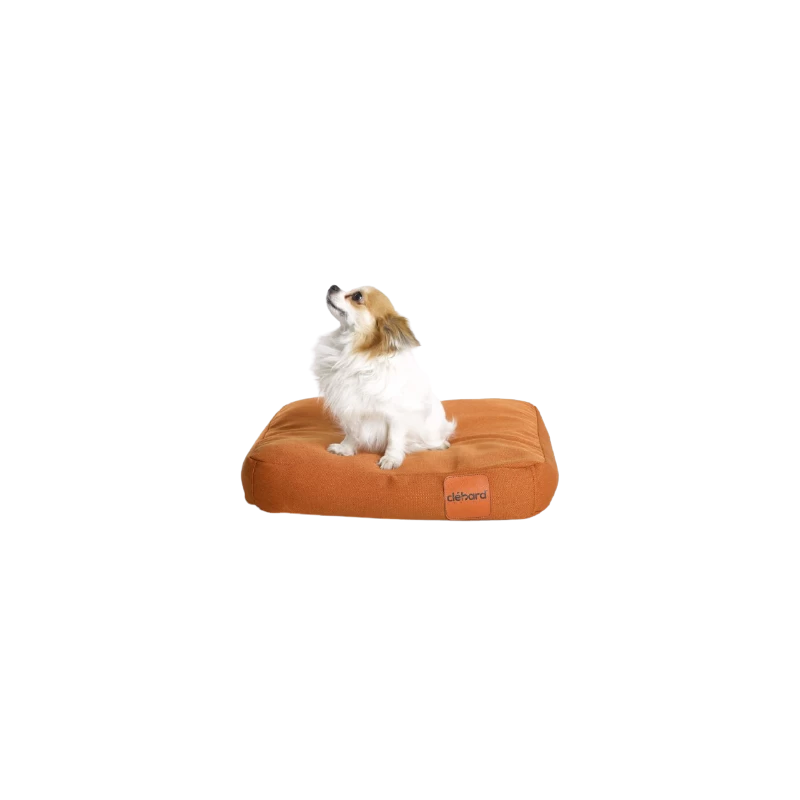 -10% Coussin Sofa Clébard Concept – Ergonomique, écologique Et Assainissant (4 Tailles/3 Coloris) 4 -10% Coussin Sofa Clébard Concept – Ergonomique, écologique Et Assainissant (4 Tailles/3 Coloris) – Image 2