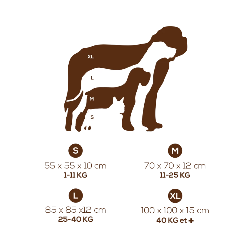 -10% Coussin Sofa Clébard Concept – Ergonomique, écologique Et Assainissant (4 Tailles/3 Coloris) 8 -10% Coussin Sofa Clébard Concept – Ergonomique, écologique Et Assainissant (4 Tailles/3 Coloris) – Image 6