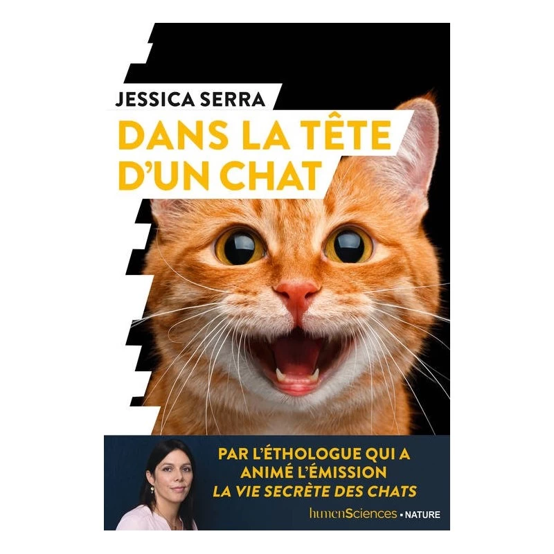 Dans La Tête D’un Chat 3 Dans La Tête D’un Chat