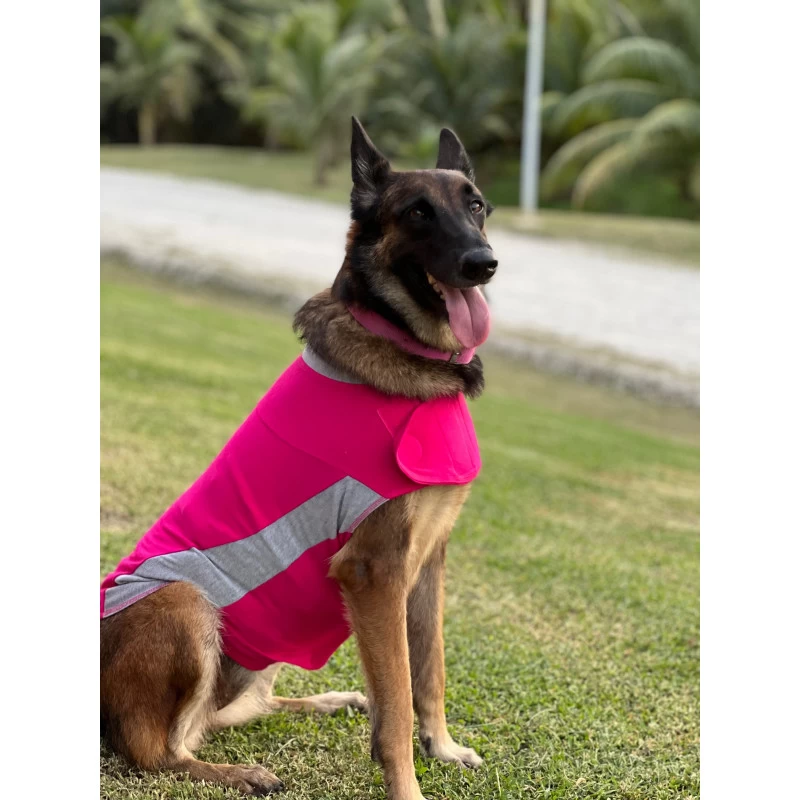 -10% – Polo Thundershirt (5 Tailles – Coloris Rose) 4 -10% – Polo Thundershirt (5 Tailles – Coloris Rose) – Image 2