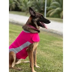 -10% – Polo Thundershirt (5 Tailles – Coloris Rose) 9 -10% – Polo Thundershirt (5 Tailles – Coloris Rose) -Repas Magsin destock 10 thundershirt 5 tailles coloris rose 2