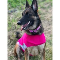 -10% – Polo Thundershirt (5 Tailles – Coloris Rose)