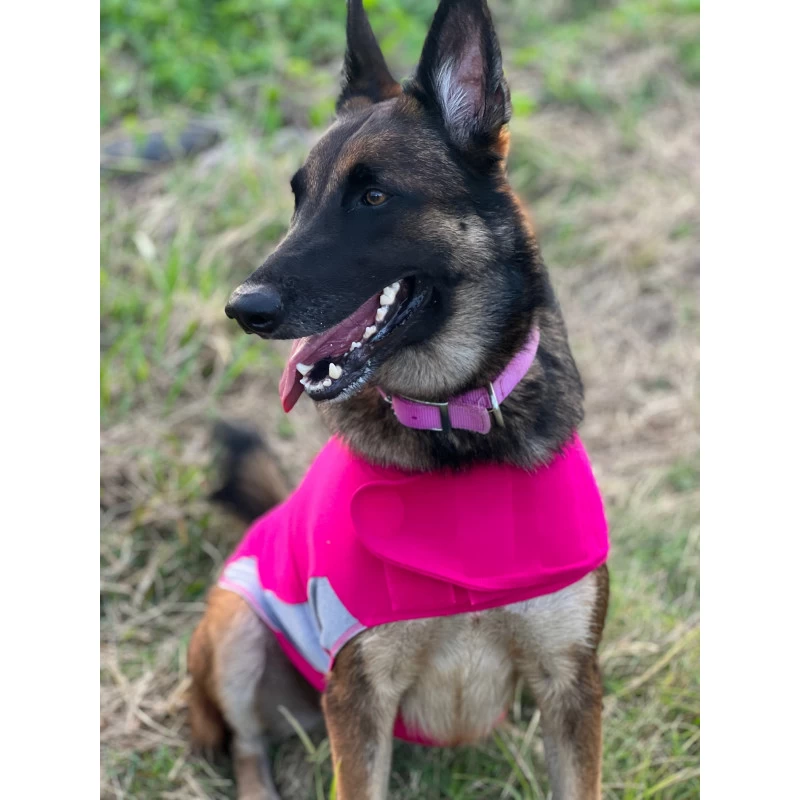 -10% – Polo Thundershirt (5 Tailles – Coloris Rose) 3 -10% – Polo Thundershirt (5 Tailles – Coloris Rose)