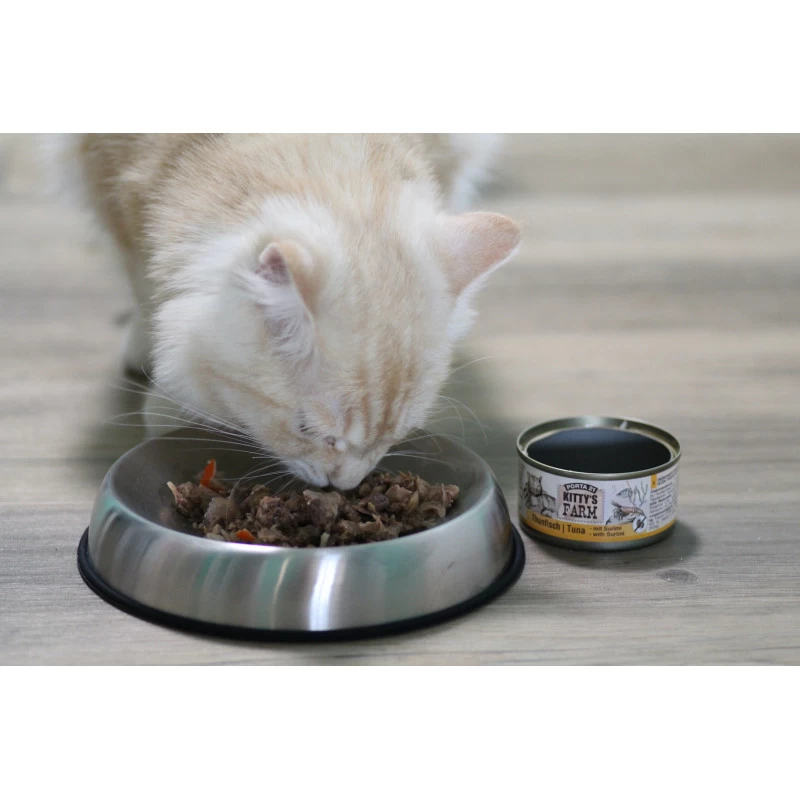 Promo -25% Dr Catsby (Gamelle En Acier Inoxydable Pour Chat) 7 Promo -25% Dr Catsby (Gamelle En Acier Inoxydable Pour Chat) – Image 5