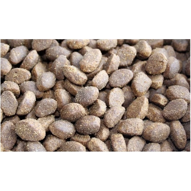 Eden 80/20 “Fish Cuisine” Petites Croquettes Tous Stades De Vie – 2 Kilos Et 6 Kilos 8 Eden 80/20 “Fish Cuisine” Petites Croquettes Tous Stades De Vie – 2 Kilos Et 6 Kilos – Image 6