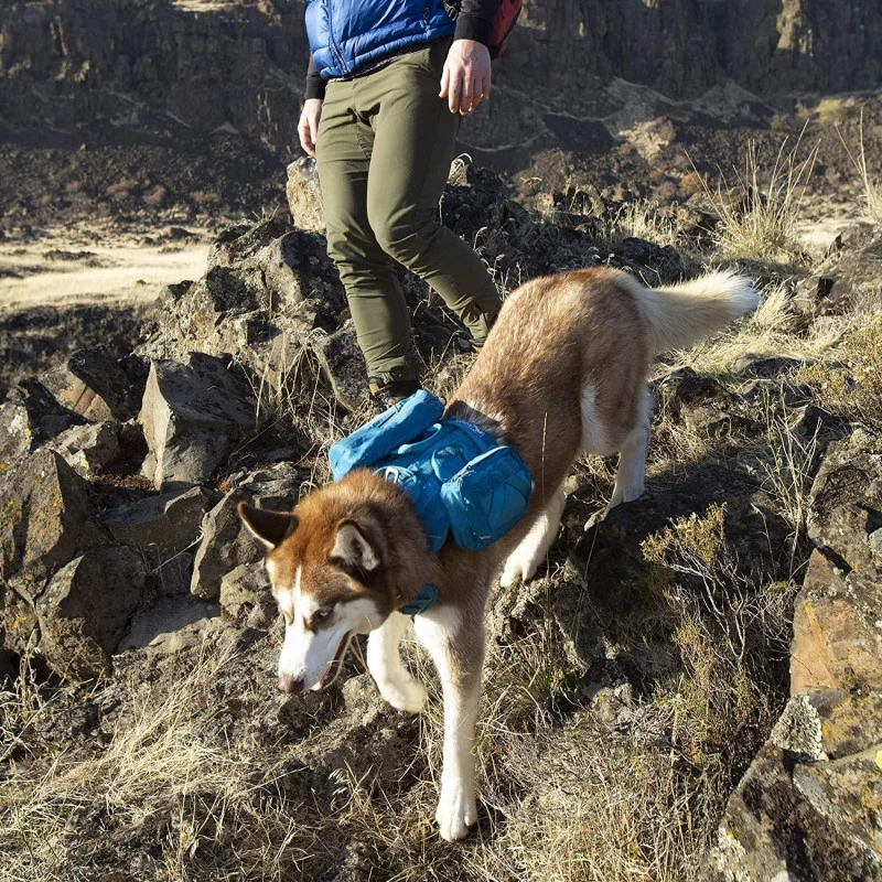 Flasque D’eau De Voyage (Kurgo RSG Hydration Flask) 6 Flasque D’eau De Voyage (Kurgo RSG Hydration Flask) – Image 4