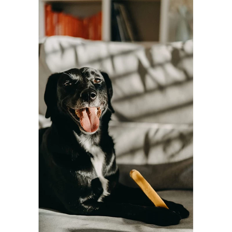 Friandise à Ronger Au Lait De Yak Medium (Nature Label 100/120 G) 4 Friandise à Ronger Au Lait De Yak Medium (Nature Label 100/120 G) – Image 2