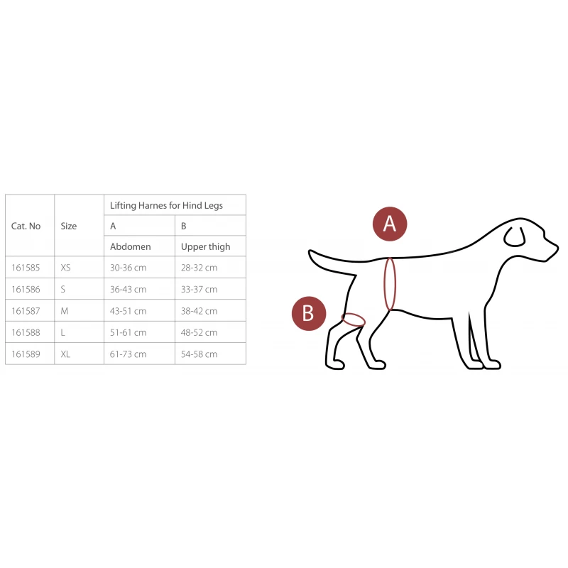 Promo -15% Harnais De Soutien Et De Réhabilitation – 4 Tailles Et 2 Modèles (Pattes Avant Et Arrière) 4 Promo -15% Harnais De Soutien Et De Réhabilitation – 4 Tailles Et 2 Modèles (Pattes Avant Et Arrière) – Image 3