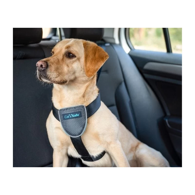 Harnais De Voyage Pour Voiture (CarSafe Dog Travel Harness) 3 Tailles 4 Harnais De Voyage Pour Voiture (CarSafe Dog Travel Harness) 3 Tailles – Image 2