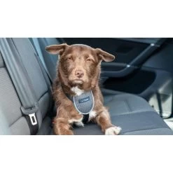 Harnais De Voyage Pour Voiture (CarSafe Dog Travel Harness) 3 Tailles 9 Harnais De Voyage Pour Voiture (CarSafe Dog Travel Harness) 3 Tailles -Repas Magsin harnais de voyage pour voiture carsafe dog travel harness 3 tailles 3