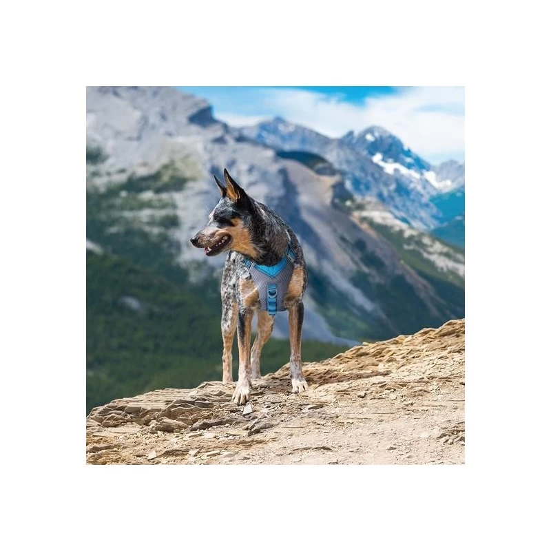 Harnais Kurgo “Journey Air” (5 Tailles) 4 Harnais Kurgo “Journey Air” (5 Tailles) – Image 2