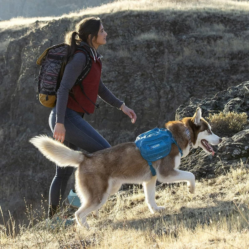 Harnais Kurgo RSG County (3 Tailles) 5 Harnais Kurgo RSG County (3 Tailles) – Image 3