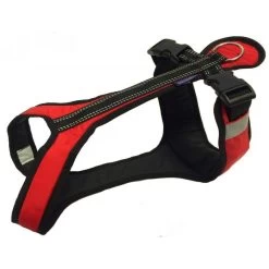 Harnais ZeroDC Short - 6 Tailles - 6 Coloris