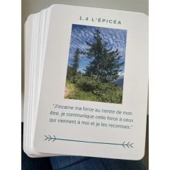 Jeu De 48 Cartes – Arbres Guérisseurs Pour Le Corps, L’âme Et L’esprit