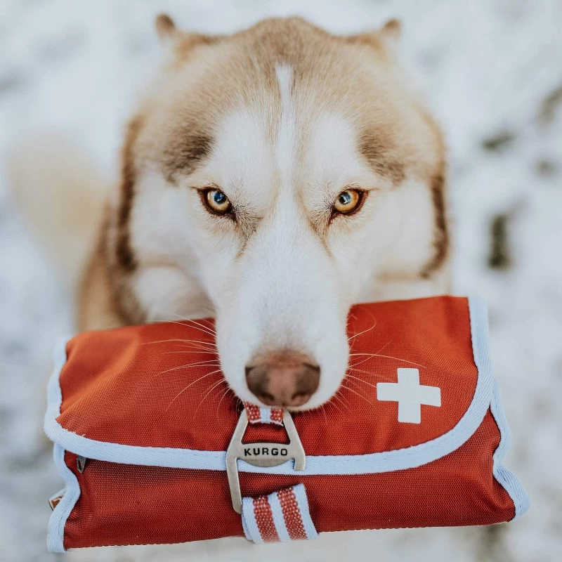 Kit De Premiers Soins Pour Animaux (cont. 50 Pièces) 3 Kit De Premiers Soins Pour Animaux (cont. 50 Pièces)