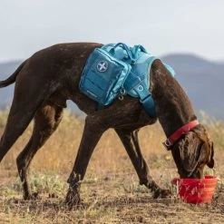 Kit Premiers Secours 50 Pièces (Kurgo RSG First Aid Kit+) -Repas Magsin kit premiers secours 50 pieces kurgo rsg first aid kit 4