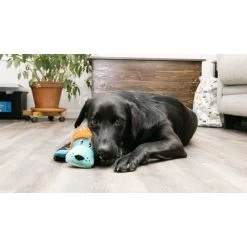 Kong Cozie Ultra Lion -Repas Magsin kong cozie ultra lion 3