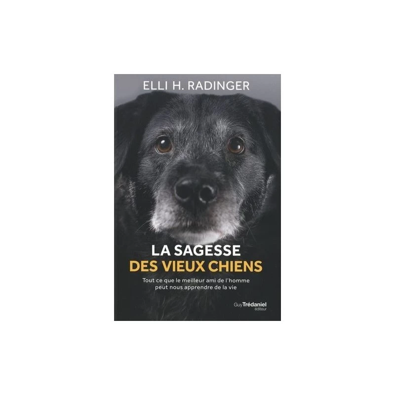 La Sagesse Des Vieux Chiens (Elli H. Radinger) 4 La Sagesse Des Vieux Chiens (Elli H. Radinger) – Image 2