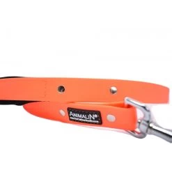 Laisse Animalin® Fluo 120 Cm – 2 Larg./ 2 Couleurs – Mousq. Inox