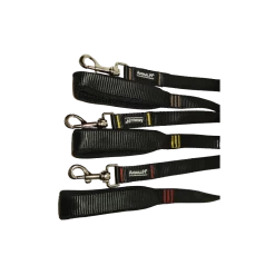 Laisse AUTOMNE Animalin® - L 120 Cm – 3 Larg./3 Coloris/3 Tailles De Mousqueton