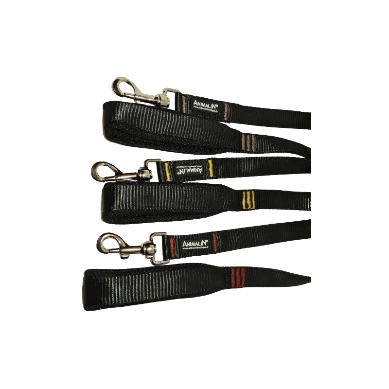 Laisse AUTOMNE Renforcée ANIMALIN® - L 120 Cm - 2 Larg. - 3 Coloris 3 Laisse AUTOMNE Renforcée ANIMALIN® - L 120 Cm - 2 Larg. - 3 Coloris