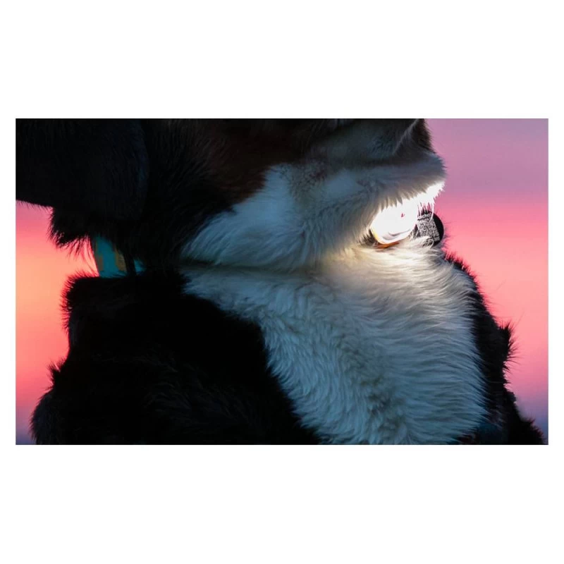 Lampe De Sécurité Ultra LED Matrix - 6 Couleurs - Charge USB - 100 % étanche 6 Lampe De Sécurité Ultra LED Matrix - 6 Couleurs - Charge USB - 100 % étanche – Image 4