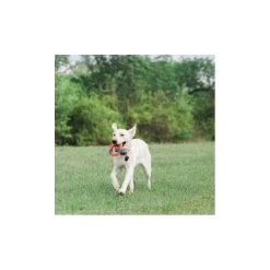 Lanceur D’anneau (Chuckit! Ring Chaser) -Repas Magsin lanceur danneau chuckit ring chaser 3