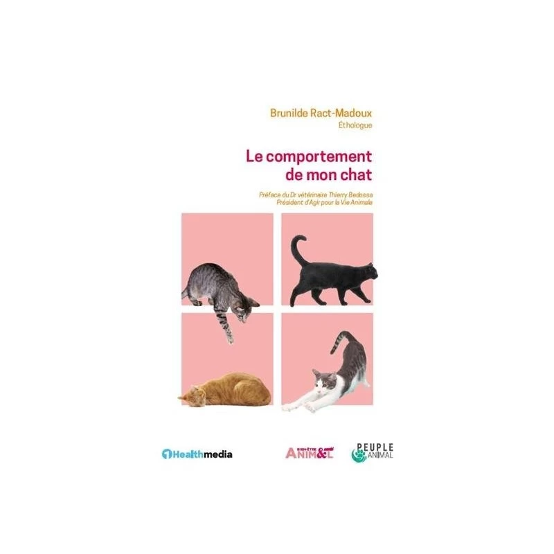 Le Comportement De Mon Chat 3 Le Comportement De Mon Chat