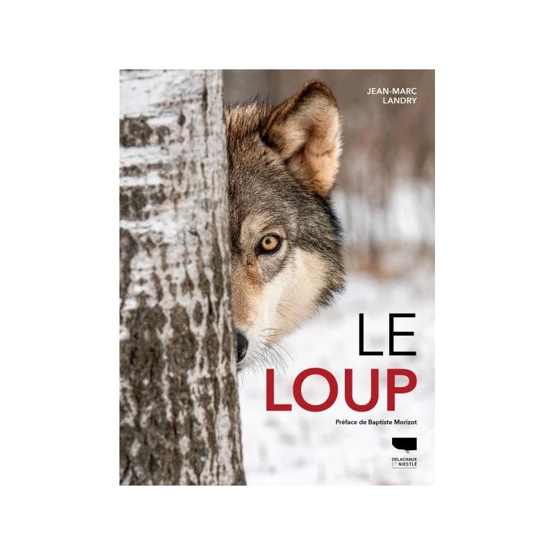 Le Loup 3 Le Loup