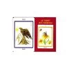 Le Tarot Des Animaux - Le Jeu De Cartes 1 Le Tarot Des Animaux - Le Jeu De Cartes -Repas Magsin le tarot des animaux le jeu de cartes