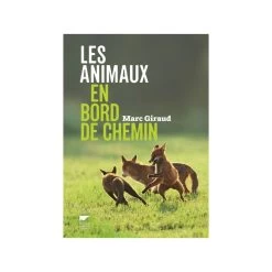 Les Animaux En Bord De Chemin