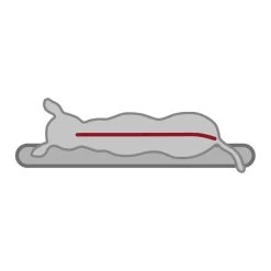 -10% Lit Vitalité à Mémoire De Forme - 3 Tailles 16 -10% Lit Vitalité à Mémoire De Forme - 3 Tailles -Repas Magsin lit vitalite a memoire de forme 3 tailles 6