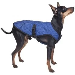 Manteau rafraîchissant Pour Chiens (Aqua CoolKeeper Cooling Jacket) 7 Tailles 11 Manteau rafraîchissant Pour Chiens (Aqua CoolKeeper Cooling Jacket) 7 Tailles -Repas Magsin manteau rafraichissant pour chiens aqua coolkeeper cooling jacket 7 tailles 1