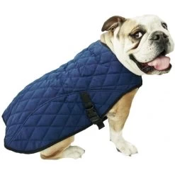 Manteau rafraîchissant Pour Chiens (Aqua CoolKeeper Cooling Jacket) 7 Tailles 12 Manteau rafraîchissant Pour Chiens (Aqua CoolKeeper Cooling Jacket) 7 Tailles -Repas Magsin manteau rafraichissant pour chiens aqua coolkeeper cooling jacket 7 tailles 2