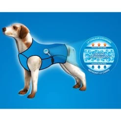 Manteau rafraîchissant Pour Chiens (Aqua CoolKeeper Cooling Jacket) 7 Tailles 13 Manteau rafraîchissant Pour Chiens (Aqua CoolKeeper Cooling Jacket) 7 Tailles -Repas Magsin manteau rafraichissant pour chiens aqua coolkeeper cooling jacket 7 tailles 3