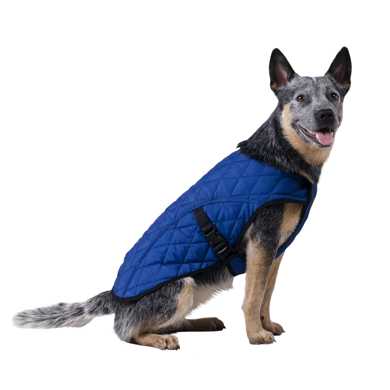 Manteau rafraîchissant Pour Chiens (Aqua CoolKeeper Cooling Jacket) 7 Tailles 3 Manteau rafraîchissant Pour Chiens (Aqua CoolKeeper Cooling Jacket) 7 Tailles