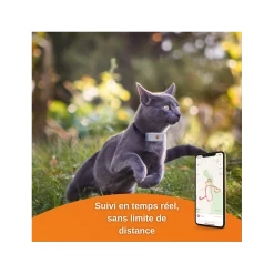 Traceur GPS Weenect Pour Chats 13 Traceur GPS Weenect Pour Chats -Repas Magsin offre speciale traceur gps weenect pour chats 2