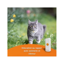 Traceur GPS Weenect Pour Chats 14 Traceur GPS Weenect Pour Chats -Repas Magsin offre speciale traceur gps weenect pour chats 3